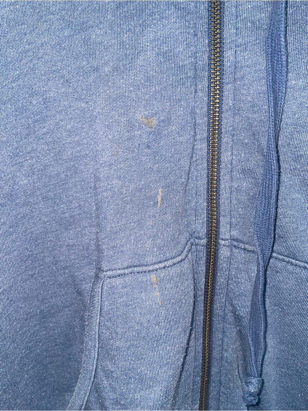 American eagle - Picture 3 of 4